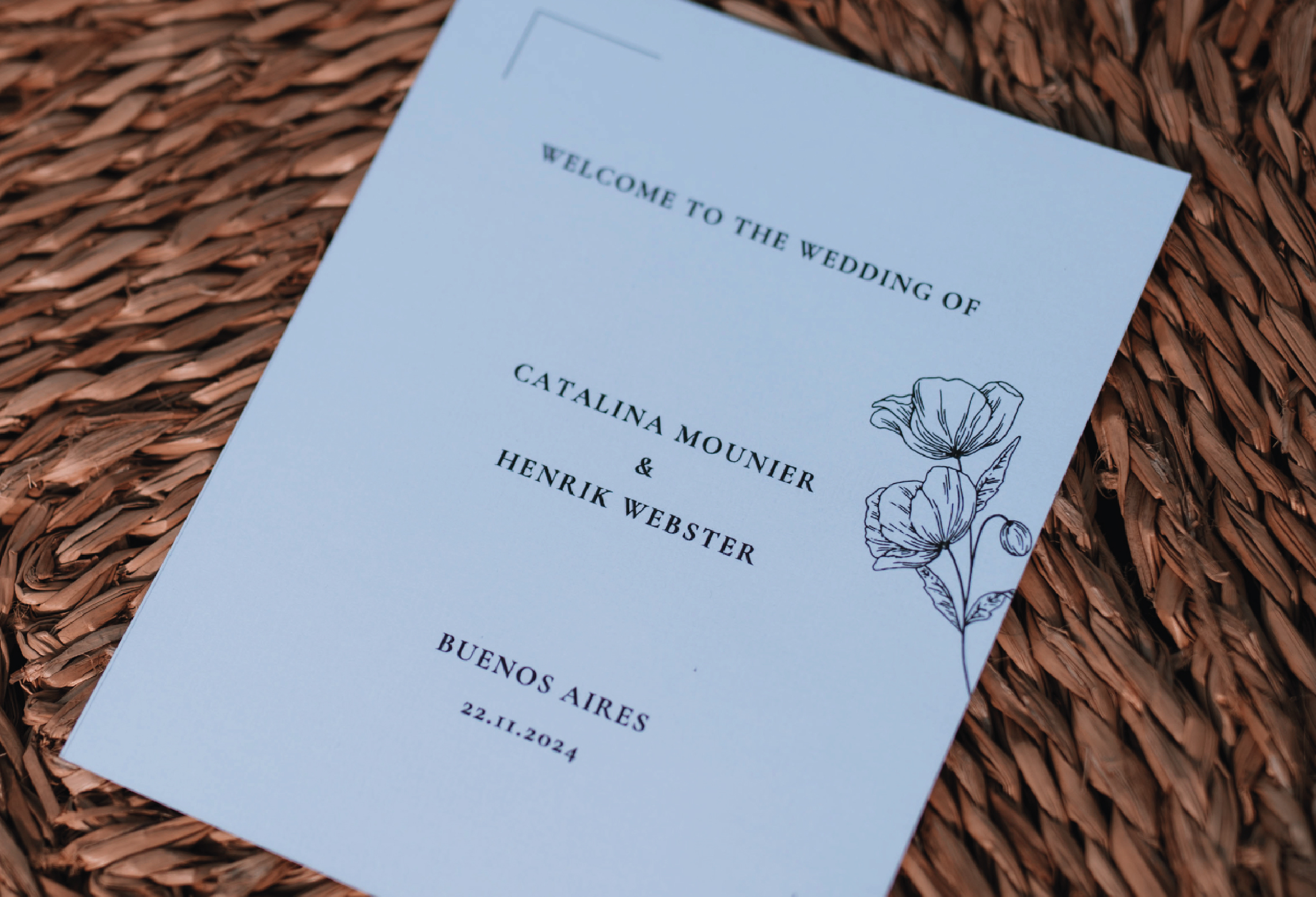 Detalles_Mesa de trabajo 1 copia 2