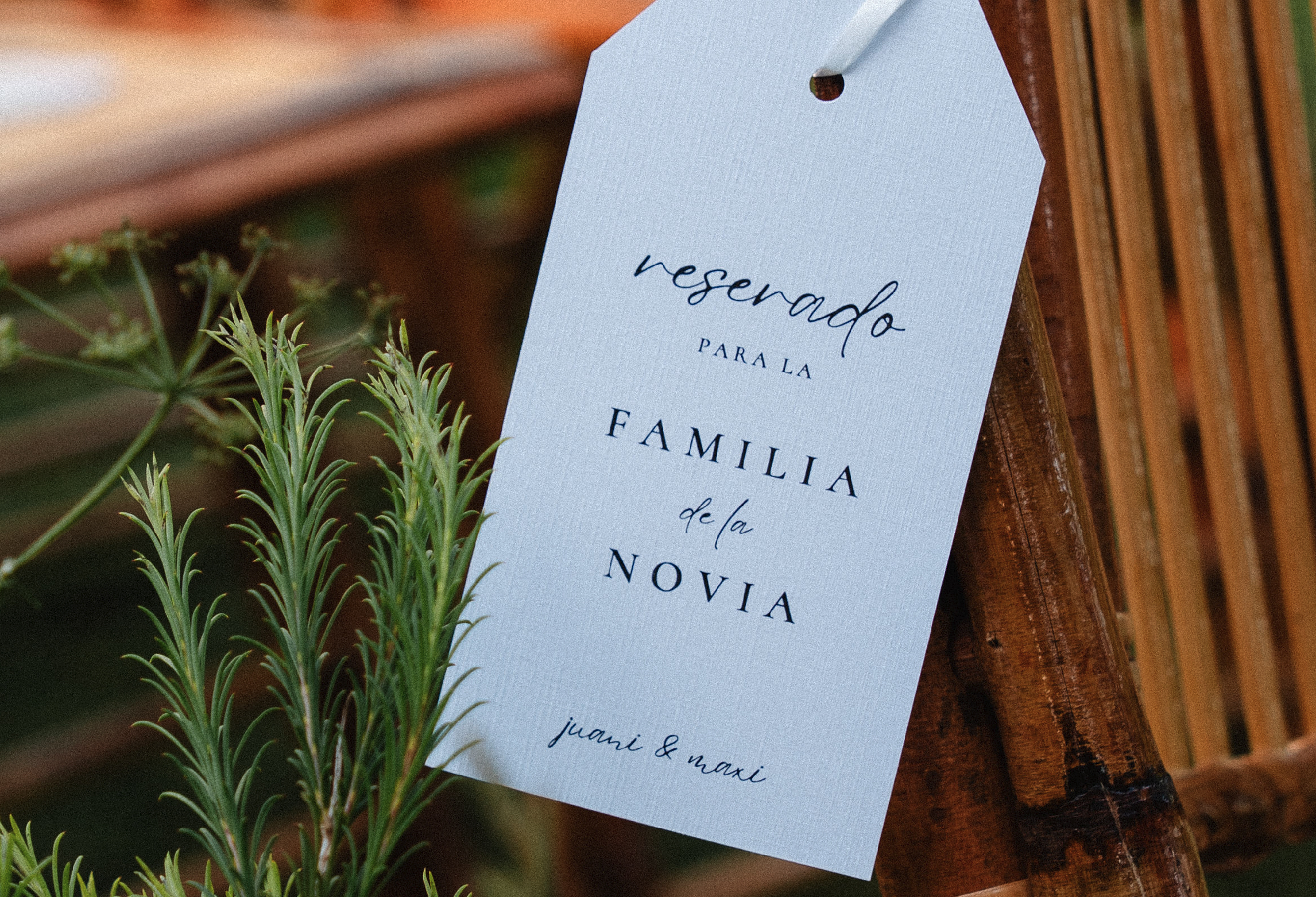 Detalles_Mesa de trabajo 1 copia 6