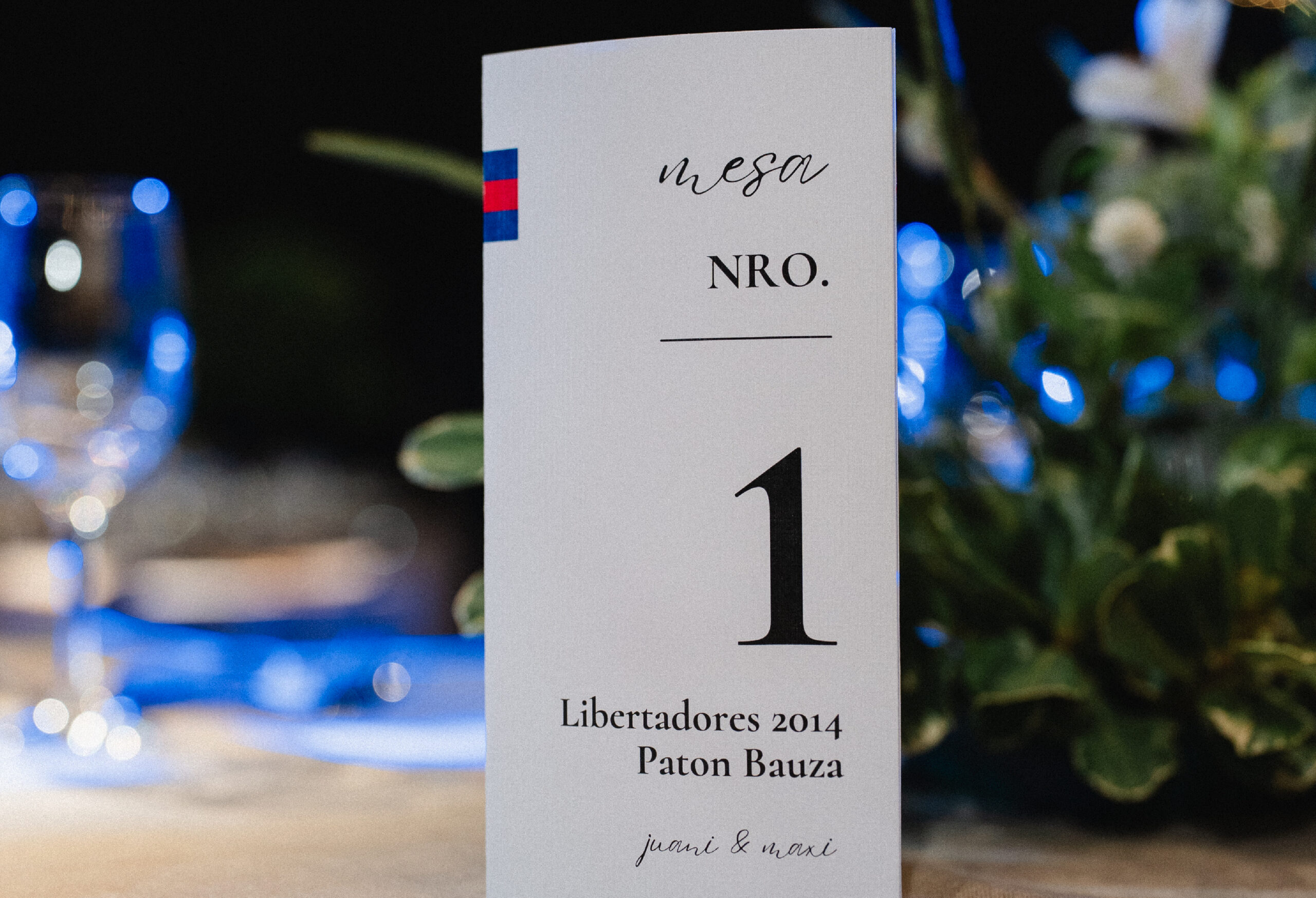 Detalles_Mesa de trabajo 1 copia 8